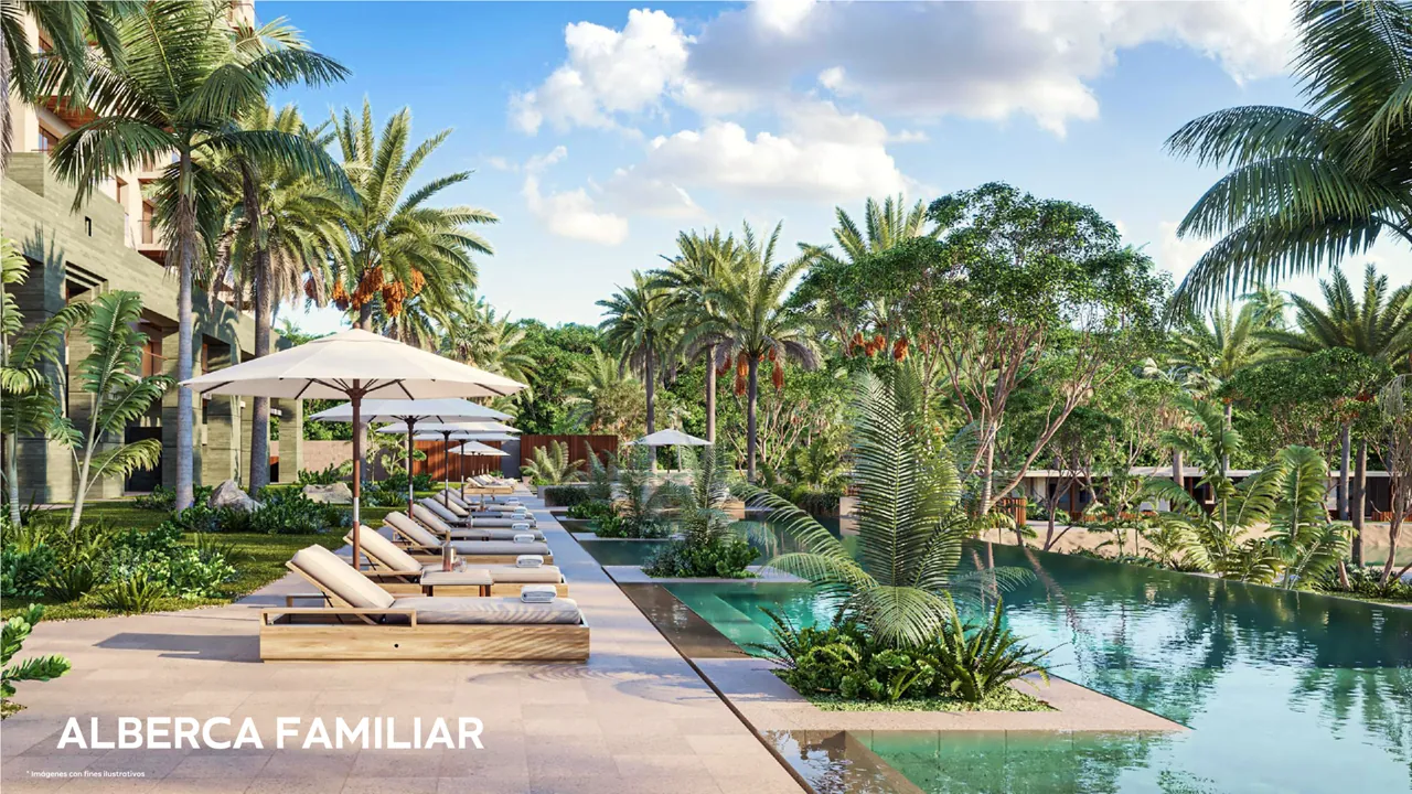Alberca familiar entre vegetación